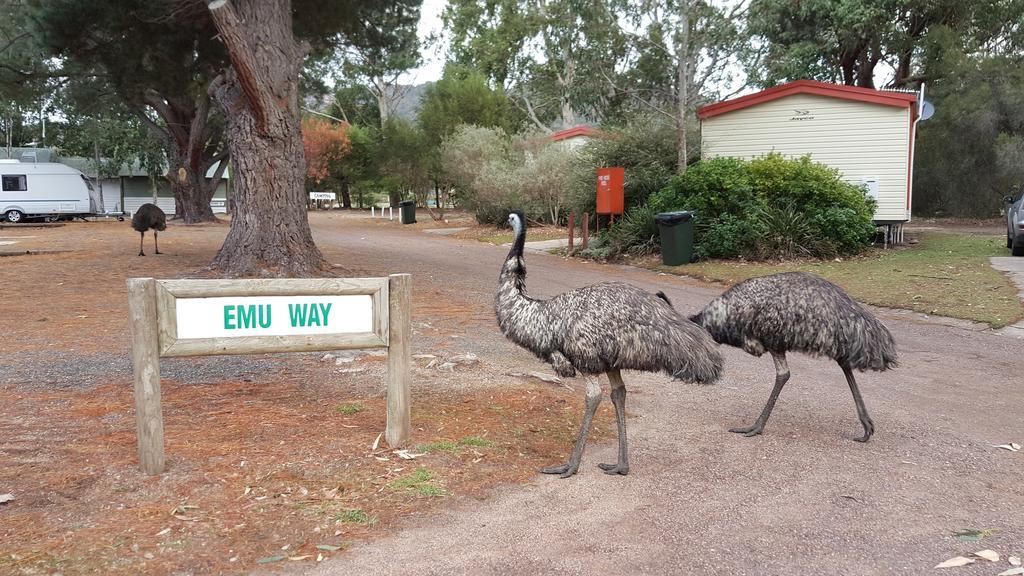 Holiday park Breeze - Grampians 3*