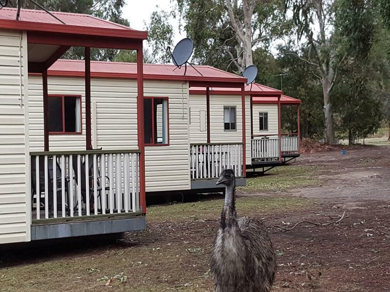 Holiday park Breeze - Grampians Halls Gap